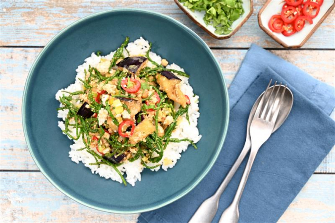 Japanese Vegan Donburi