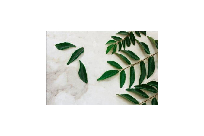 Pakistani Street Food Experience